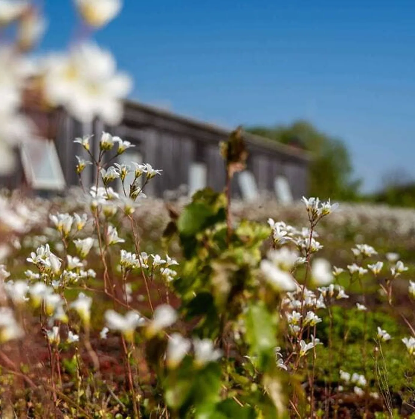 The Rivergreen Centre