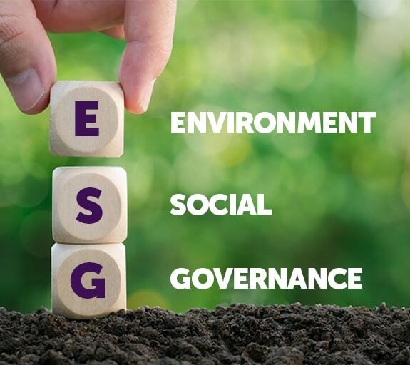 Image depicting ESG