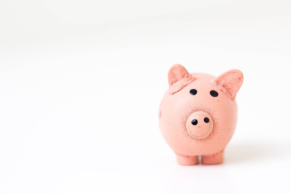 A small plastic piggy bank stood against a white background