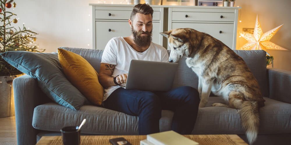 Man with a beard sat on a sofa at Christmas with his husky sat beside him, both looking at a laptop